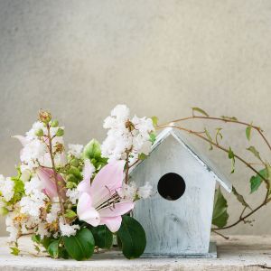 Photo of wooden birdhouse