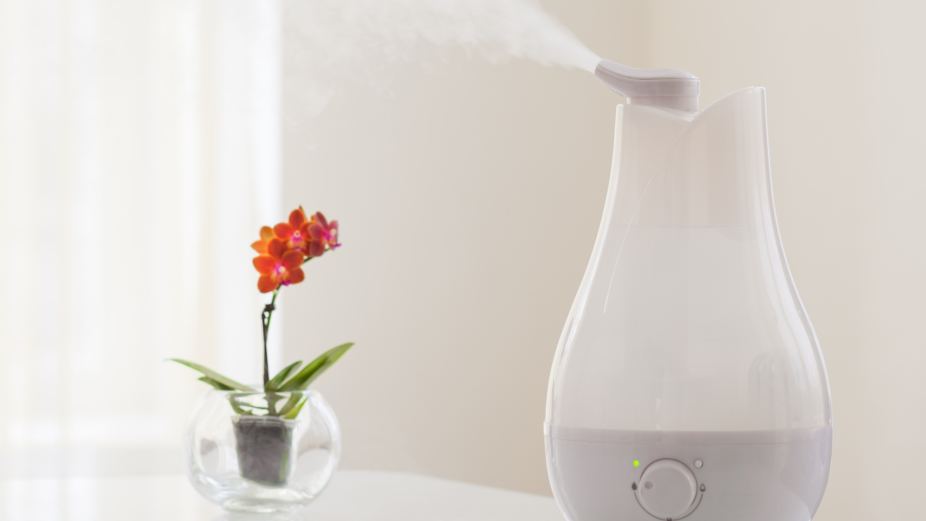 Humidify for Health?